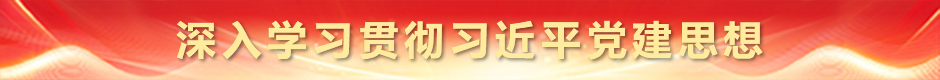 深入学习贯彻习近平党建思想